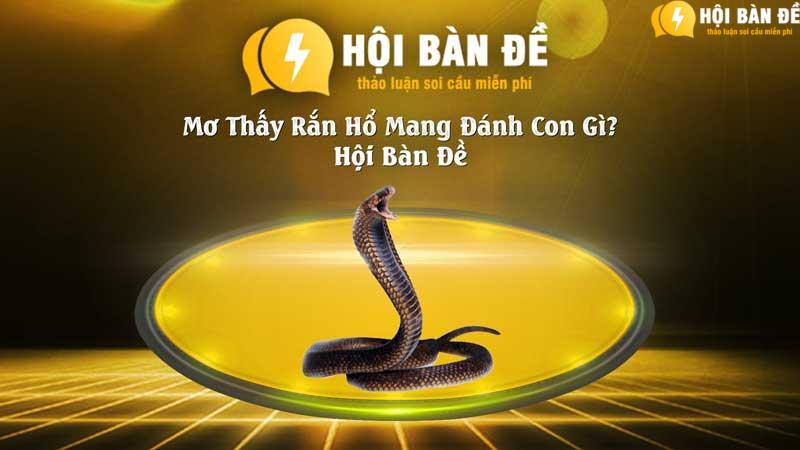 Mo Thay Ran Ho Mang Danh Con Gi Hoi Ban De