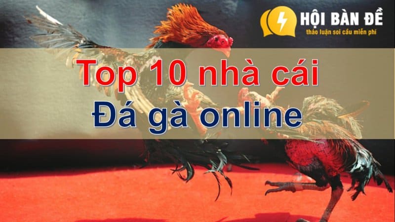 Top 10 Nha Cai Da Ga Online Review San Choi Uy Tin Link Dang Ky Tai Khoan Moi Nhat 1658221443